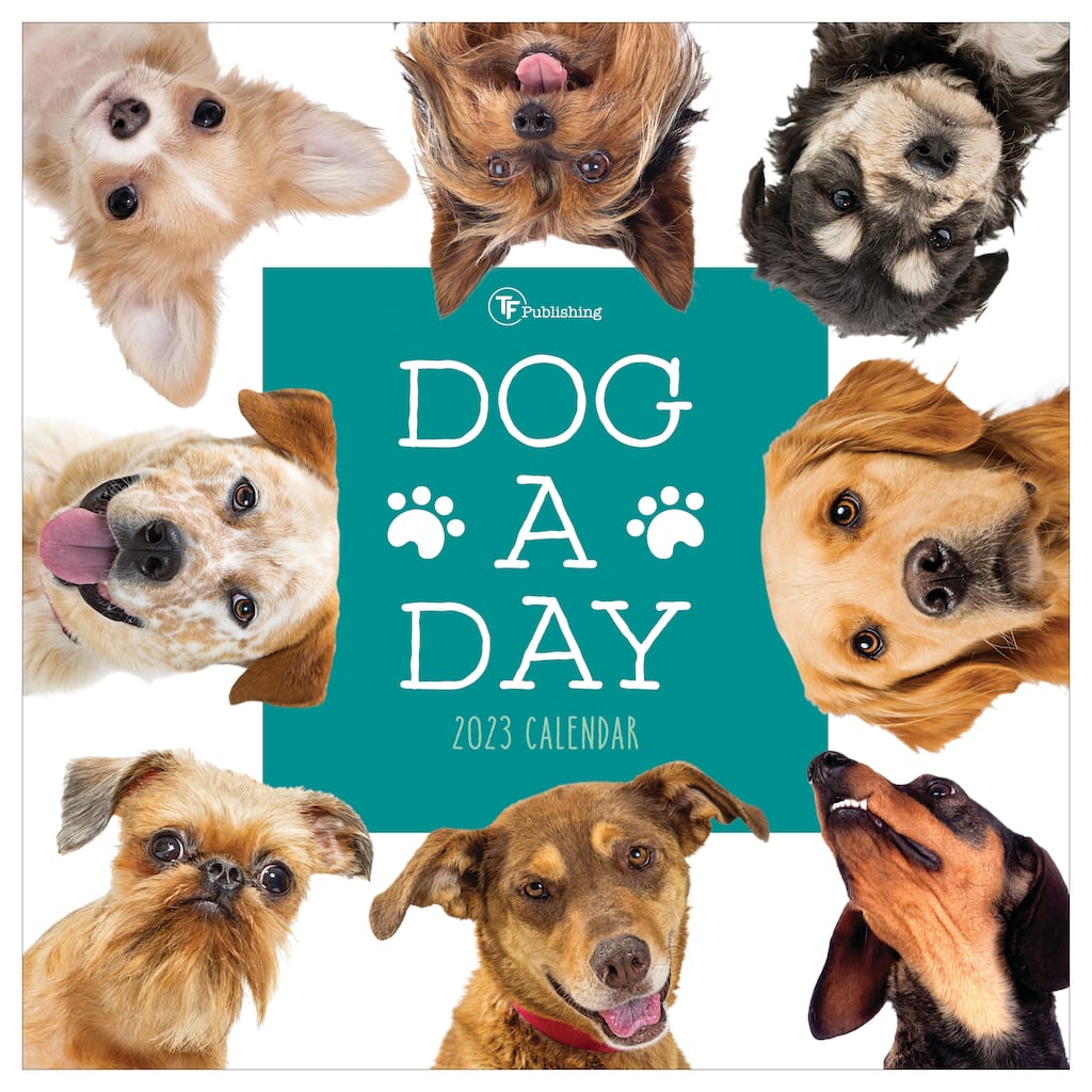 TF Publishing 2023 DogADay Wall Calendar Michaels
